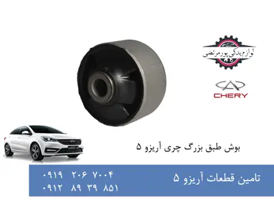 بوش طبق بزرگ چری آریزو 5