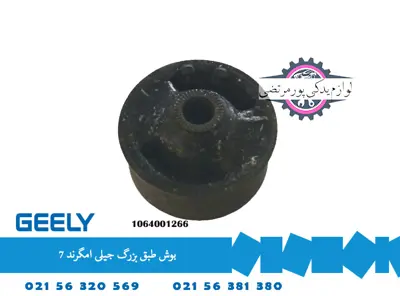 بوش طبق بزرگ جیلی امگرند 7