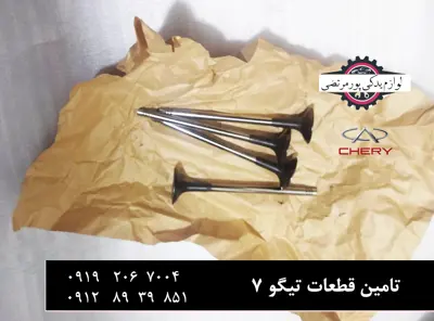سوپاپ دود موتور چری تیگو 7