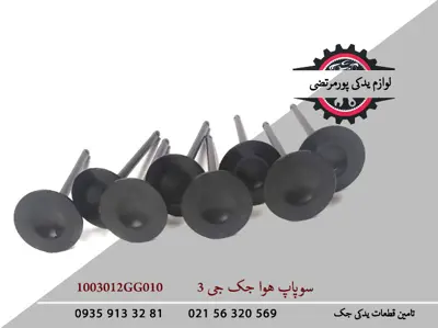 سوپاپ-هوا-جک-J3-1003012GG010