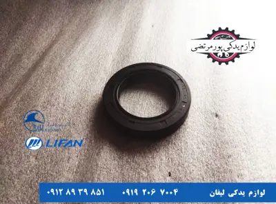 کاسه نمد دیفرانسیل راست لیفان X50 اتومات