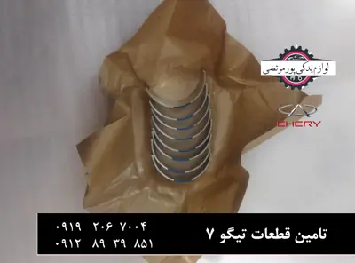 یاتاقان-متحرک-آبی-موتور-تیگو-7